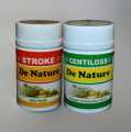 Obat Stroke Herbal de Nature